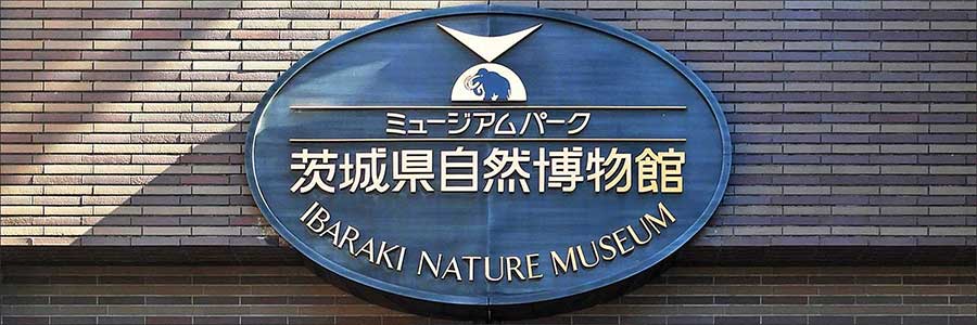 茨城県自然博物館