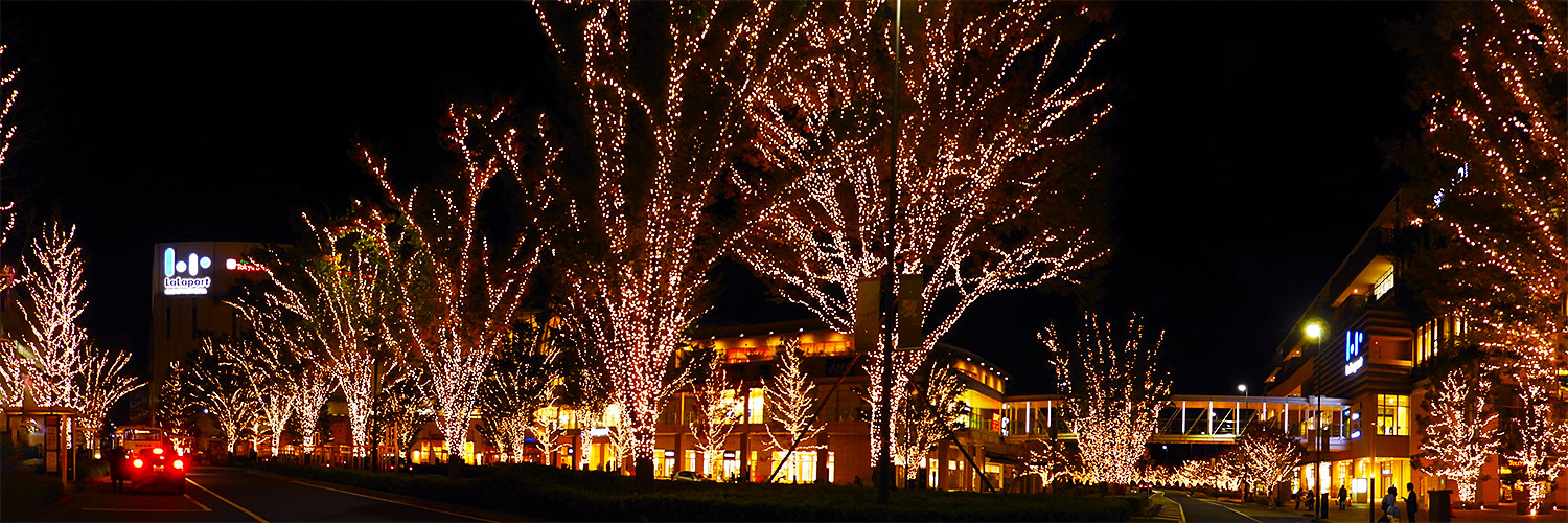 柏の葉キャンパス駅西口エリアのイルミネーション