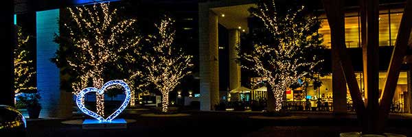 ハート型のイルミネーション