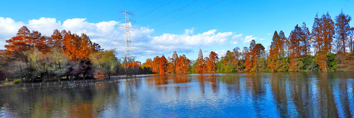 柏ビレジ北部に位置する水辺公園