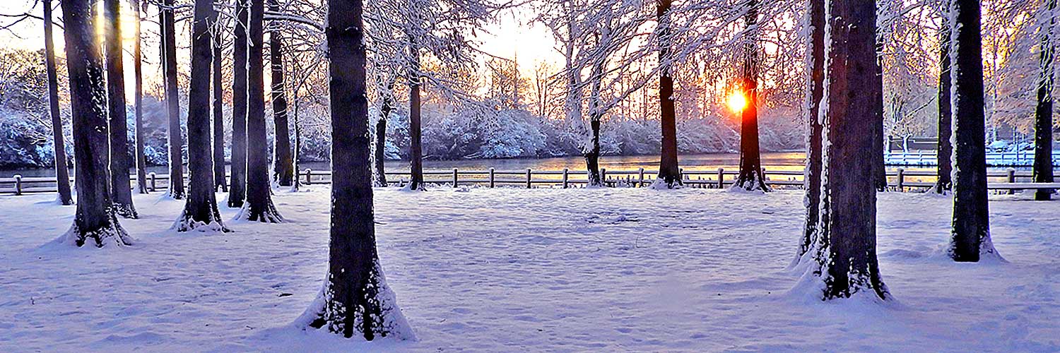 冬の柏ビレジ水辺公園