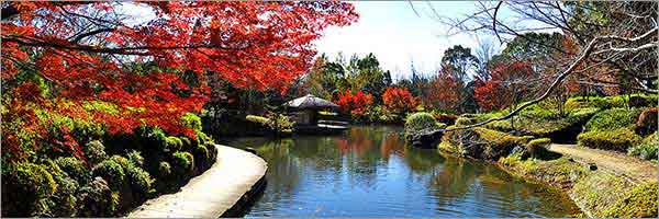 日本庭園＠柏の葉公園