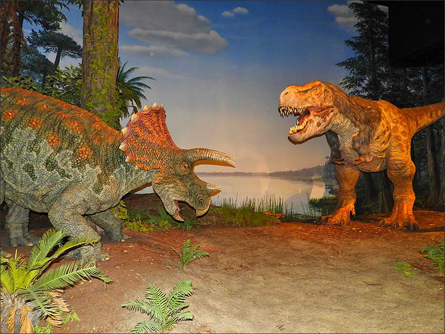 「地球の生い立ち」コーナーで人気の恐竜たちのジオラマ