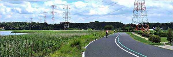 手賀沼湖岸のサイクリングコース