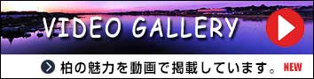 KASHIWA VIDEO GALLERY～柏の観光動画を掲載しています。